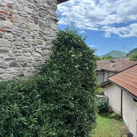 L'angulin