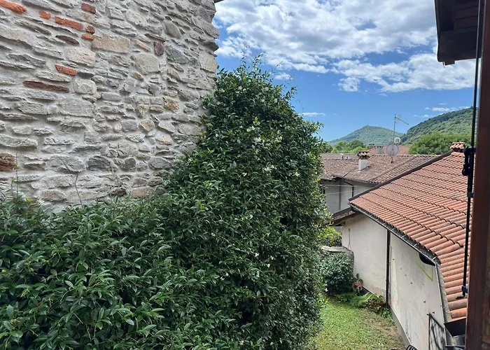 L'angulin